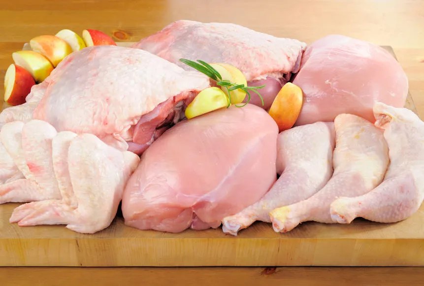 фотография продукта Мясо курицы от Производителя